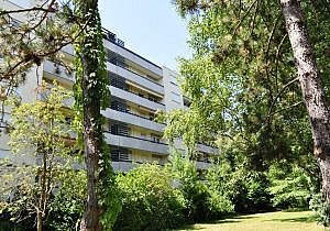Wohnungsvermietung Waldstadt