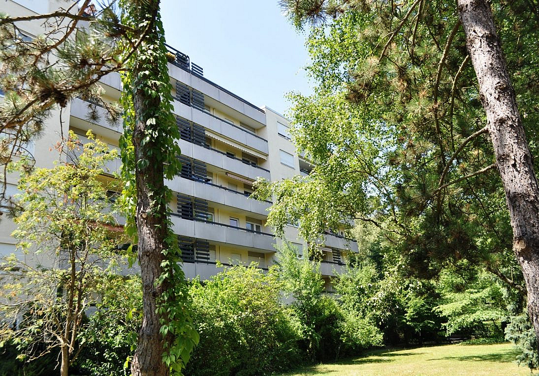 Wohnungsvermietung Waldstadt